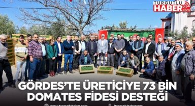 Gördes’te Üreticiye 73 Bin Domates Fidesi Desteği