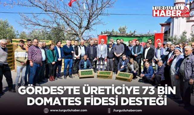Gördes’te Üreticiye 73 Bin Domates Fidesi Desteği