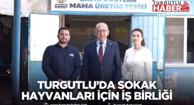 Turgutlu Belediyesi ile Lezita’dan sokak hayvanları için iş birliği