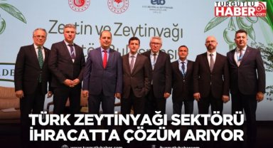 Türk Zeytinyağı Sektörü İhracatta Çözüm Arıyor