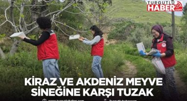 Alaşehir’de kiraz ve Akdeniz meyve sineğine karşı tuzak kuruldu