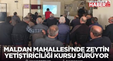 Maldan Mahallesi’nde zeytin yetiştiriciliği kursu sürüyor