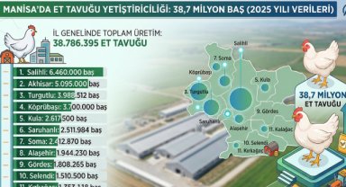 Manisa’da 38,7 Milyon Et Tavuğu Yetiştirildi