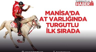Manisa’da At Varlığında Turgutlu İlk Sırada