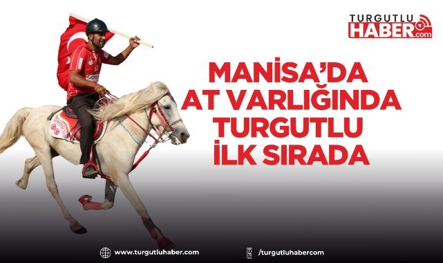 Manisa’da At Varlığında Turgutlu İlk Sırada