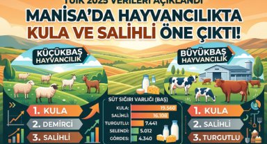 Manisa’da Hayvancılıkta Kula ve Salihli Öne Çıktı