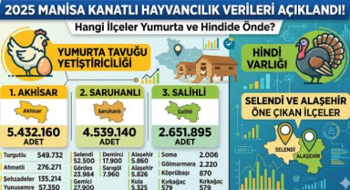 Manisa’da Kanatlı Hayvancılıkta Akhisar, Saruhanlı ve Salihli Öne Çıktı