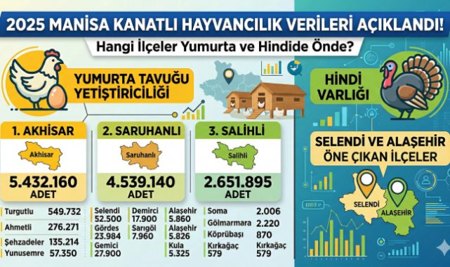 Manisa’da Kanatlı Hayvancılıkta Akhisar, Saruhanlı ve Salihli Öne Çıktı