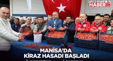 Manisa’da kiraz hasadı başladı
