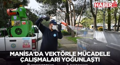 Manisa’da vektörle mücadele çalışmaları yoğunlaştı