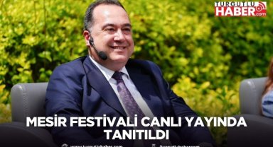 Mesir Festivali canlı yayında tanıtıldı