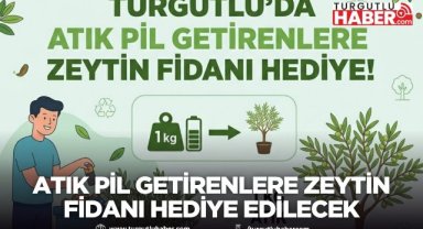 Turgutlu'da atık pil getirenlere zeytin fidanı hediye edilecek