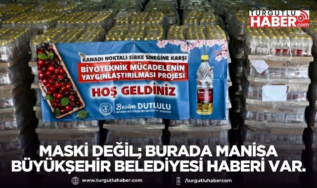 Manisa Büyükşehir’den kiraz üreticilerine biyoteknik mücadele desteği