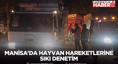 MANİSA'DA HAYVAN HAREKETLERİNE SIKI DENETİM