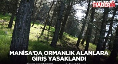 Manisa’da ormanlık alanlara giriş yasaklandı