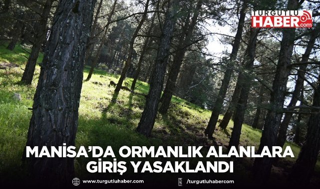 Manisa’da ormanlık alanlara giriş yasaklandı