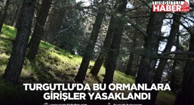 Turgutlu'da bu ormanlara girişler yasaklandı