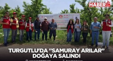 TURGUTLU'DA KAHVERENGİ KOKARCAYA KARŞI