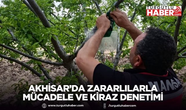 Akhisar’da Zararlılarla Mücadele ve Kiraz Denetimi