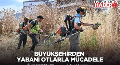 Büyükşehirden Yabani Otlarla Mücadele