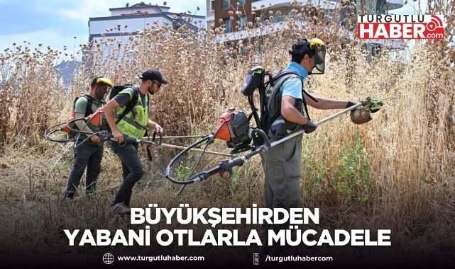 Büyükşehirden Yabani Otlarla Mücadele