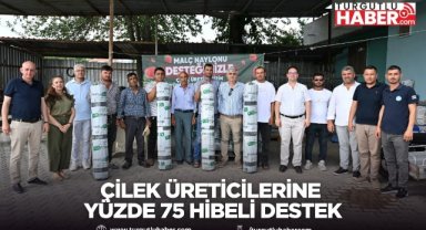 Çilek Üreticilerine Yüzde 75 Hibeli Destek