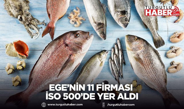 Ege’nin 11 Firması İSO 500’de Yer Aldı