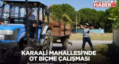 Karaali Mahallesi’nde Ot Biçme Çalışması