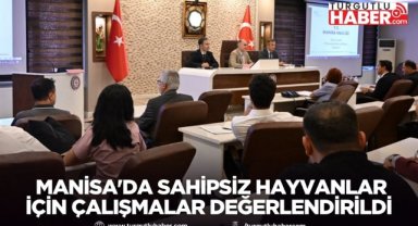  Manisa'da Sahipsiz Hayvanlar İçin Çalışmalar Değerlendirildi