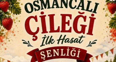 Osmancalı Çileği İçin Hasat Şenliği Düzenlenecek