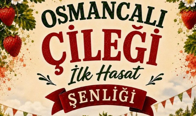 Osmancalı Çileği İçin Hasat Şenliği Düzenlenecek
