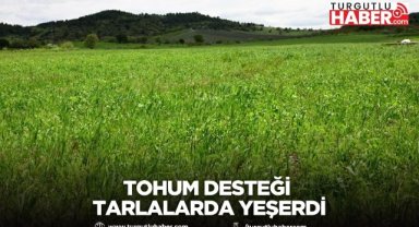 Tohum Desteği Tarlalarda Yeşerdi