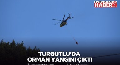 Turgutlu'da orman yangını çıktı