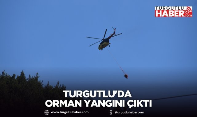 Turgutlu'da orman yangını çıktı