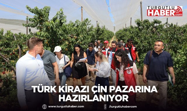 Türk kirazı Çin pazarına hazırlanıyor