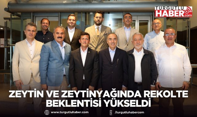 Zeytin ve Zeytinyağında Rekolte Beklentisi Yükseldi