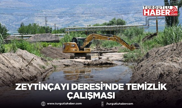 Zeytinçayı Deresi’nde Temizlik Çalışması