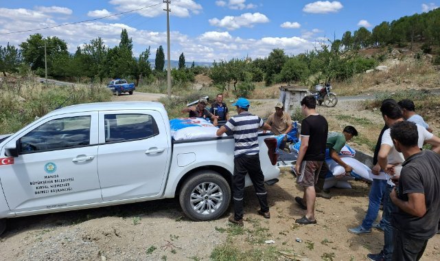 Büyükşehir’den Yangından Etkilenen Gördesli Üreticiye Yem Desteği