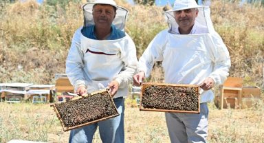 Manisa'da arıcılara uygulamalı ana arı eğitimi