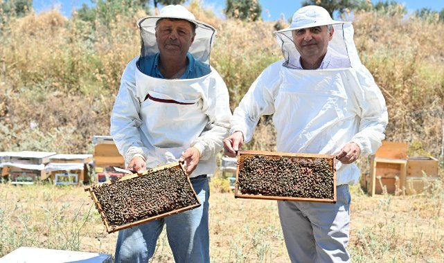 Manisa'da arıcılara uygulamalı ana arı eğitimi