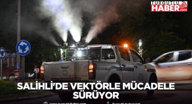 Salihli'de vektörle mücadele sürüyor