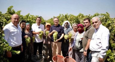 Başevirgen’den TMO’ya üzüm fiyatı çağrısı: “150 liradan aşağı olmamalı”