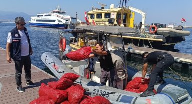 İzmir’de Yasa Dışı Kara Midye Avcılığına Geçit Yok