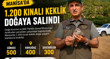 Manisa'da 1.200 Kınalı Keklik Doğaya Salındı