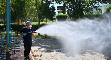 Manisa'da Zararlılarla Mücadele Sürüyor