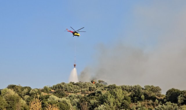 Turgutlu’da Makilik Alanda Yangın