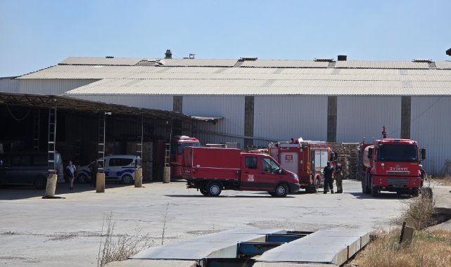 Turgutlu'da otluk alandan fabrikaya sıçrayan yangın söndürüldü