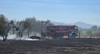 Turgutlu’da ova bölgesinde yangın