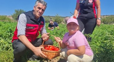 Yamanlar Tarla Domatesi İçin Tarla Günü Düzenlendi