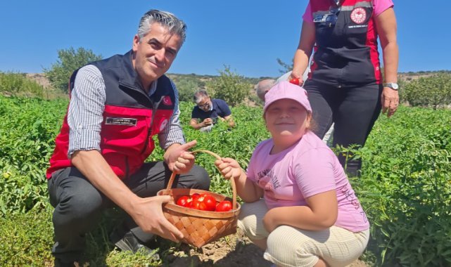 Yamanlar Tarla Domatesi İçin Tarla Günü Düzenlendi